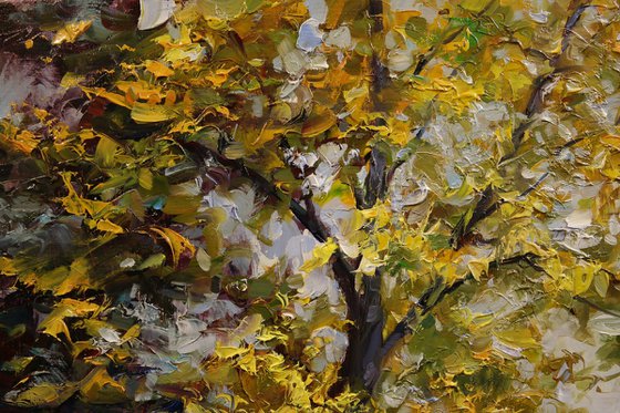 "Walk under the rain"