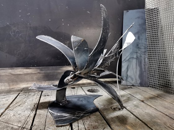 Unique welded iron sculpture beautiful space effects Star bird playing with her shape signed O KLOSKA