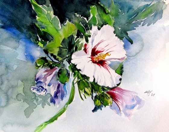 Mallow