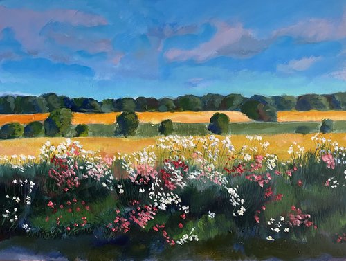 'Wildflowers along the edge of the road, Fife' by Stephen Howard Harrison