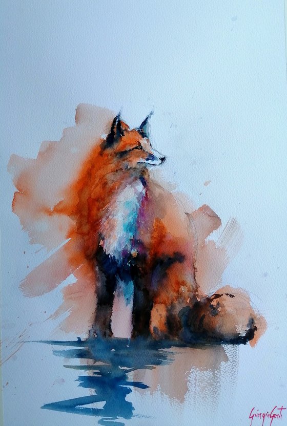 fox 6