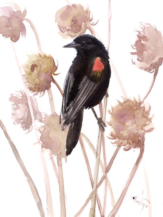 Red-Winged Blackbird