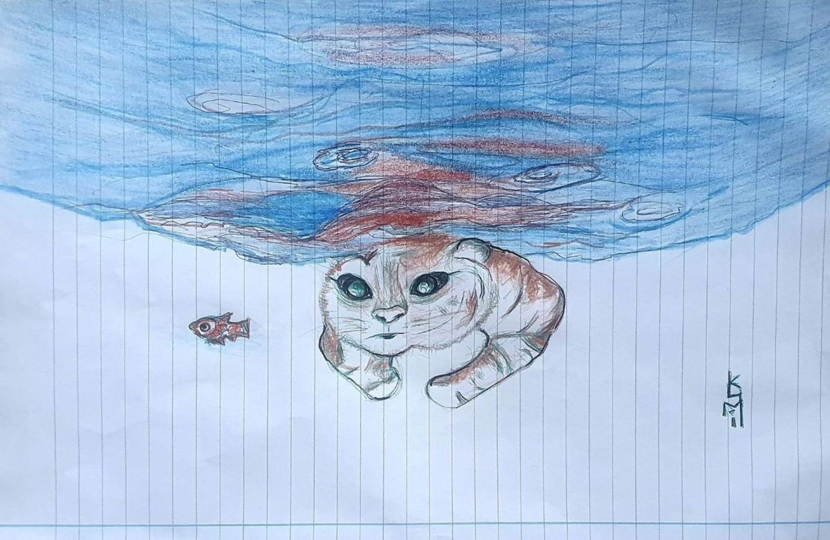 Kitten Chasing Fish by Kumi Muttu