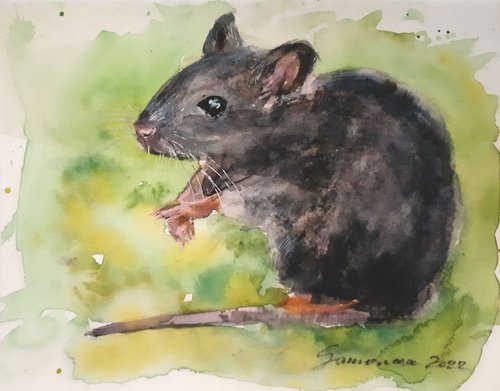 Mouse II / FROM THE ANIMAL PORTRAITS SERIES / ORIGINAL WATERCOLOR PAINTING by Salana Art Gallery