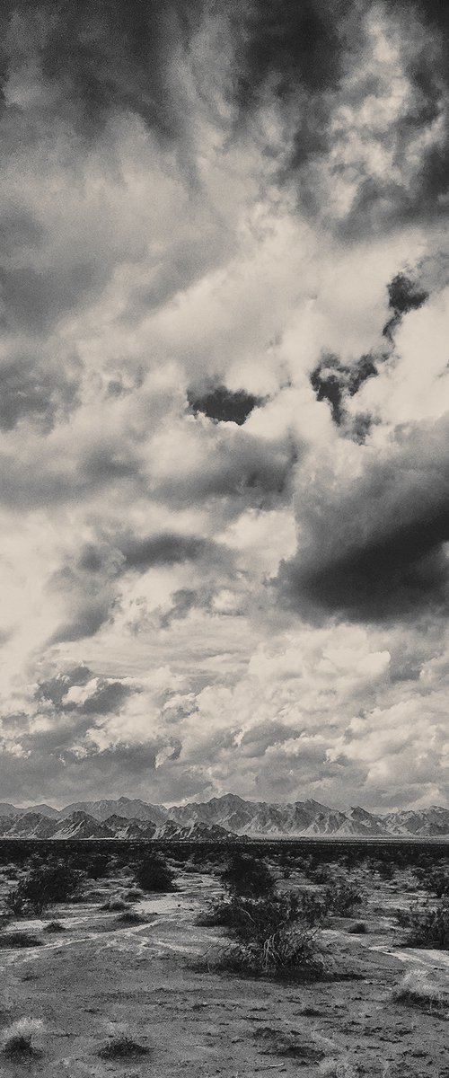 After the Storm, Mojave by Heike Bohnstengel