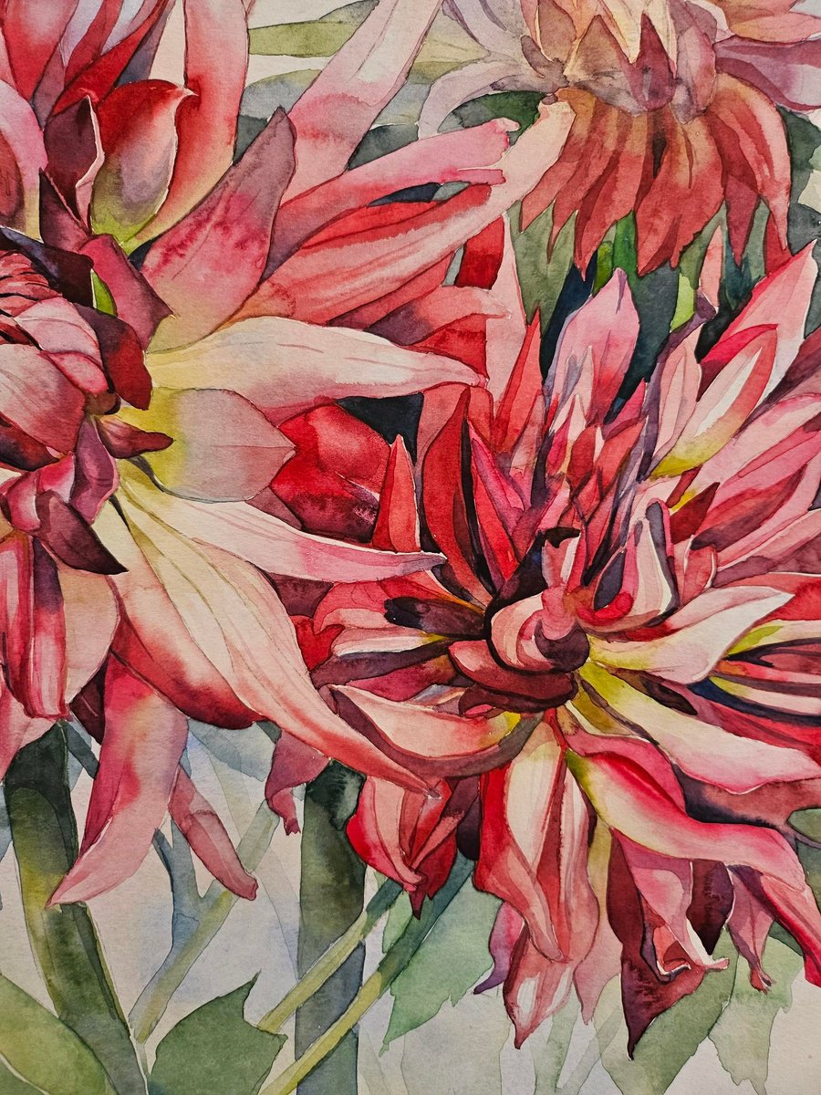 Photorealistic Botanical Watercolour By Olena Kosenko, 12 X 17", Radiant Unfolding, Original Artwork
