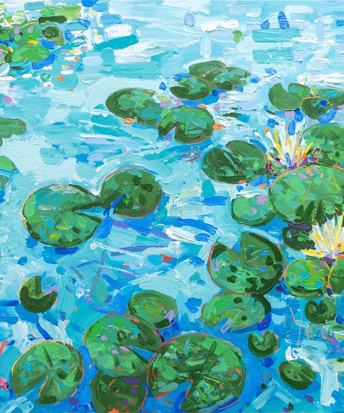 Tasman Lily Pond 38 by Joseph Villanueva