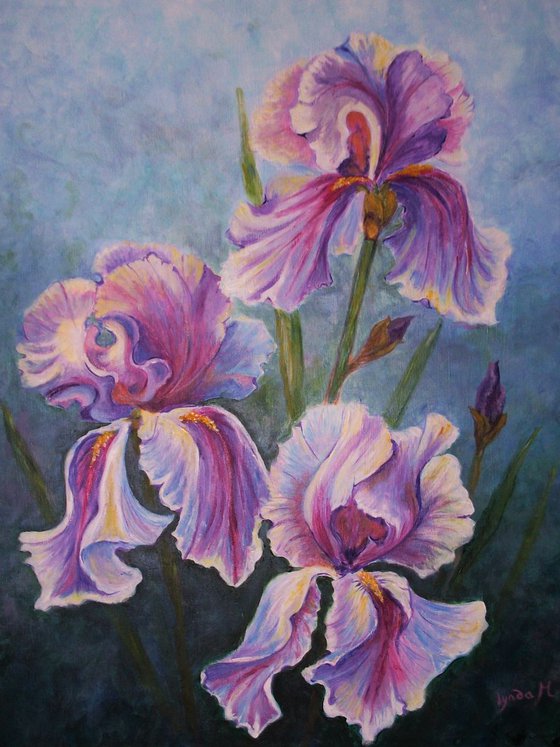 IRIS EXTRAVAGANZA