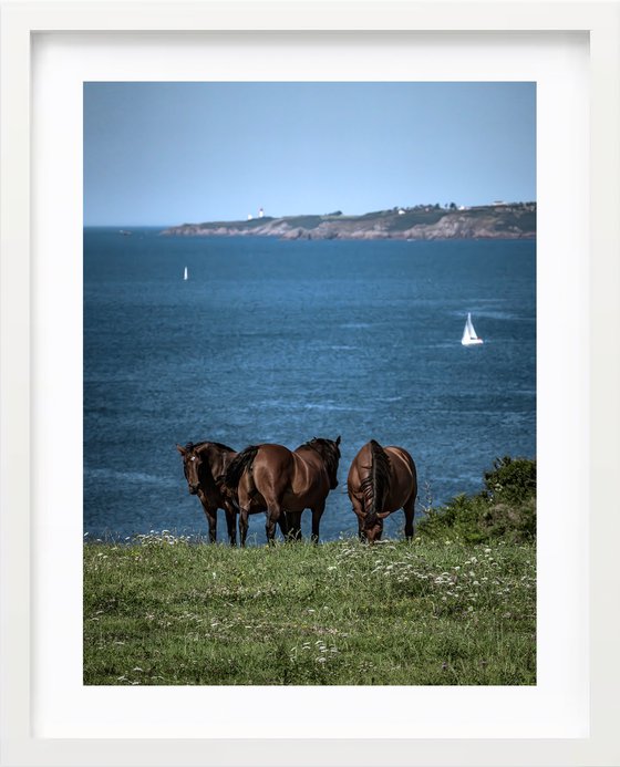 BRETON SCENARY