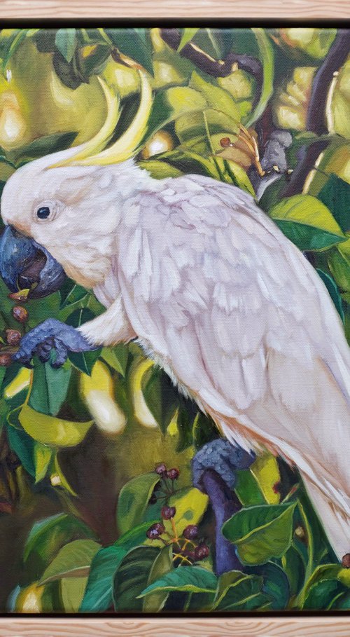 Breakfast in the canopy by Eva Chen