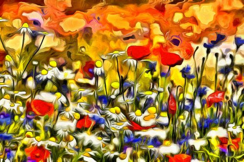 Poppies & Wildflowers by Alistair Wells