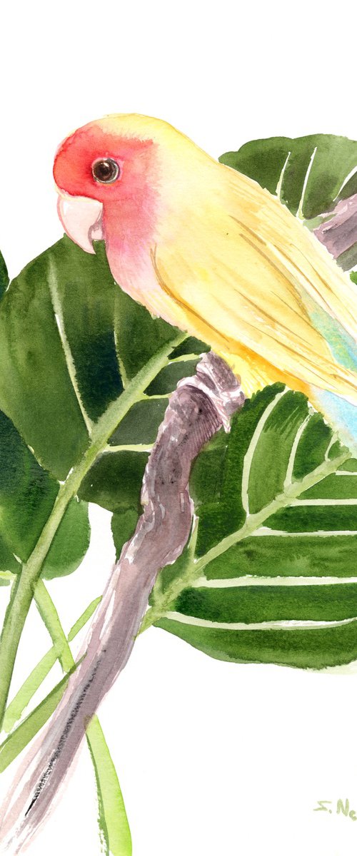 Yellow Lovebird by Suren Nersisyan