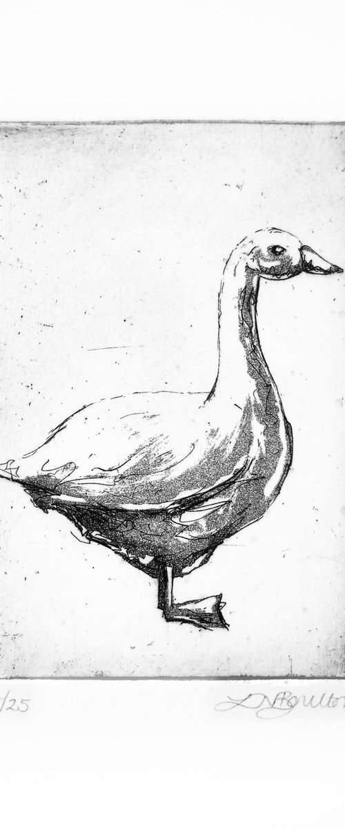 Goose by Louise Boulton