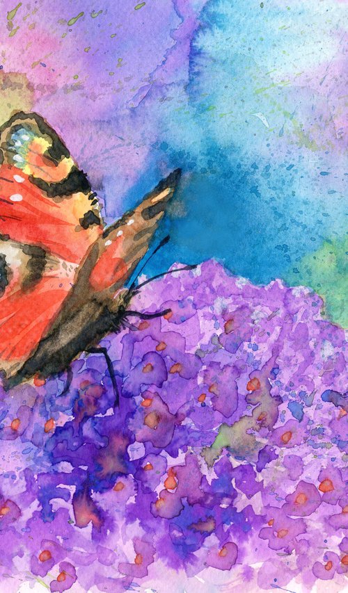 Peacock Butterfly by Lisa Mann