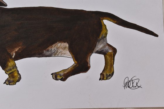 Original Dachshund Portrait
