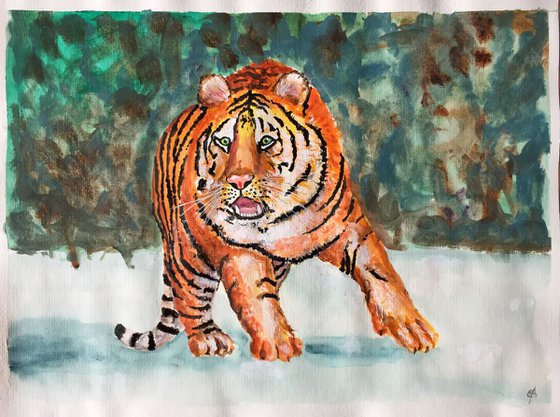 Siberian tiger