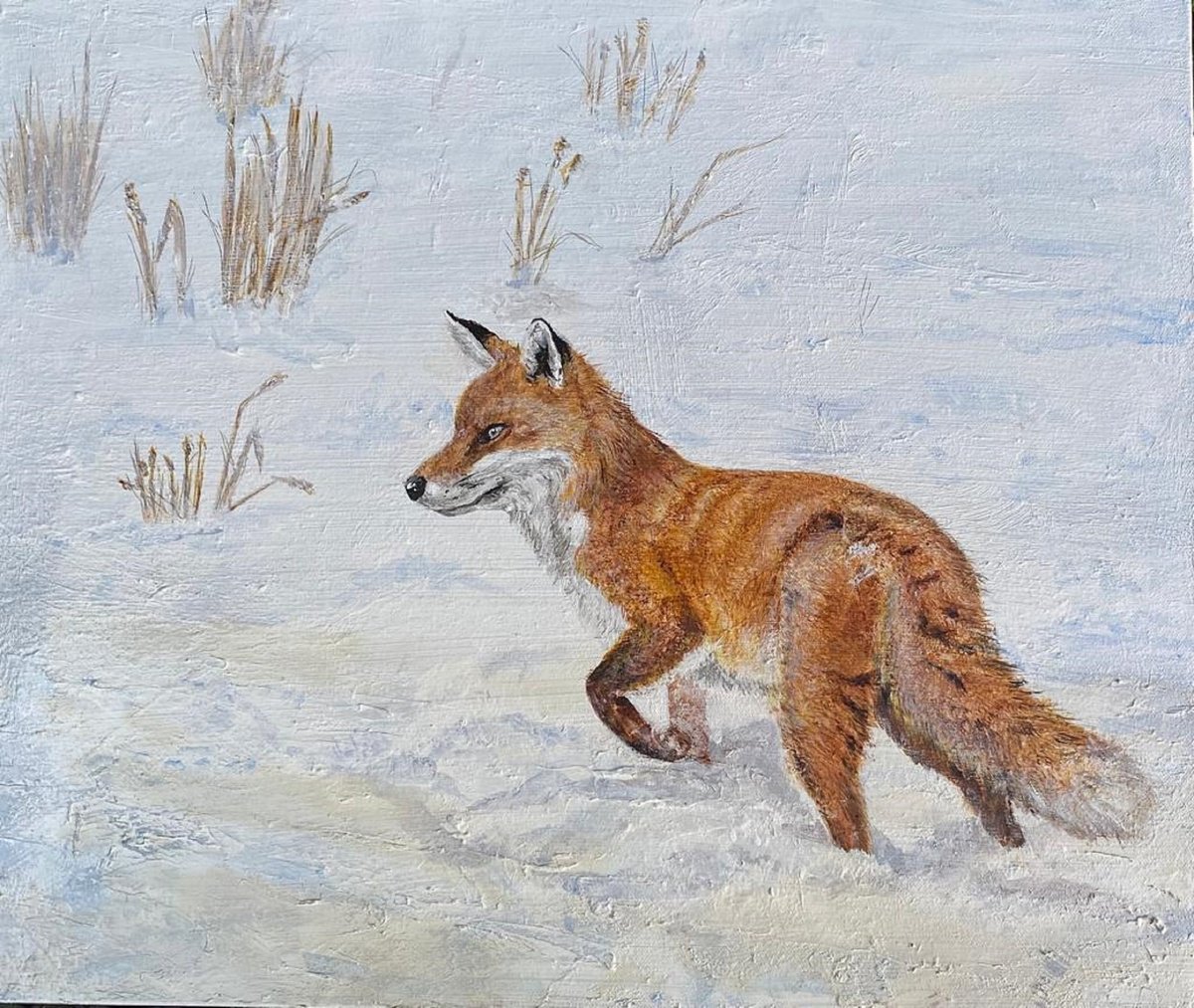 Winter Fox by Laurence Wheeler