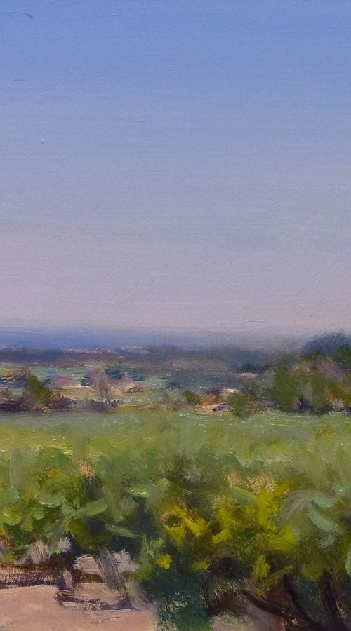 Vineyards in the Luberon by Pascal Giroud