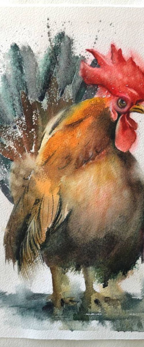 The beautiful Rooster by Olga Tchefranov (Shefranov)