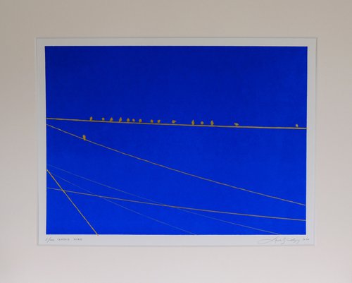 Crossed Wires by Lene Bladbjerg