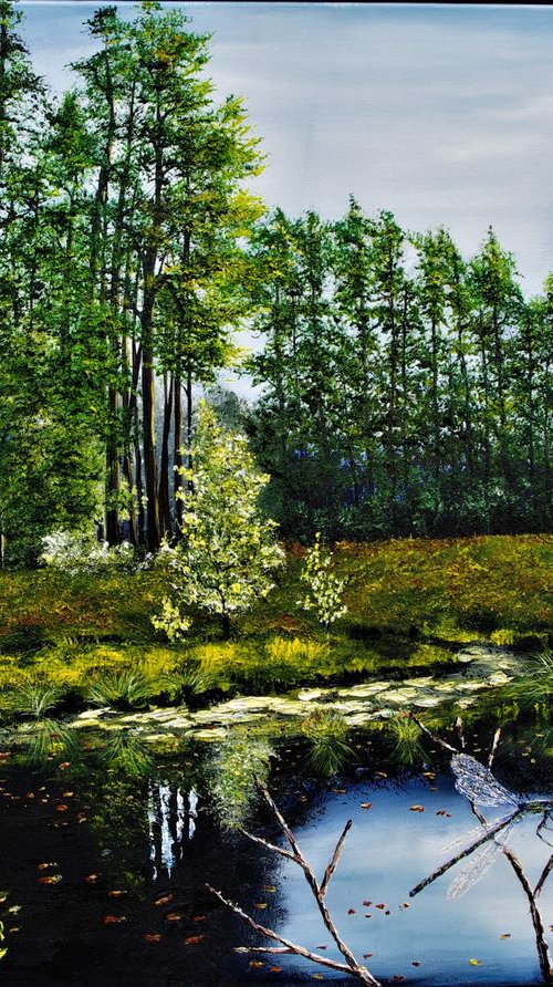 Dragonofly on Delamere moss by Hazel Thomson