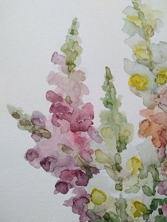 Bouquet. Antirrhínum.  Original watercolor painting.