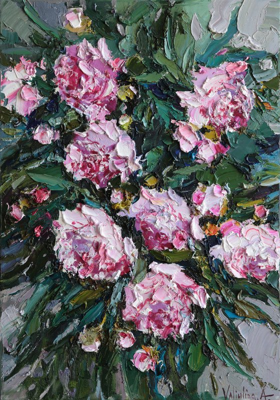 Pink Peonies