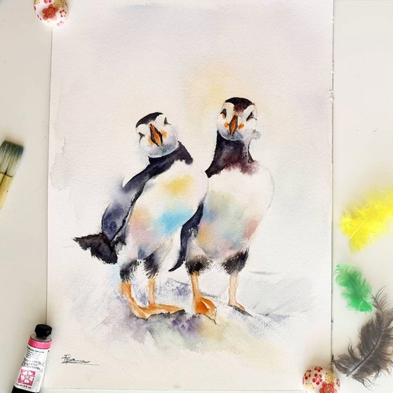 Pair of puffins (birds)