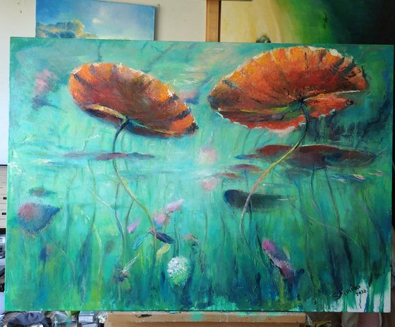 Underwater impressions