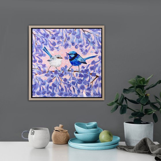Blue Wrens in Jacaranda