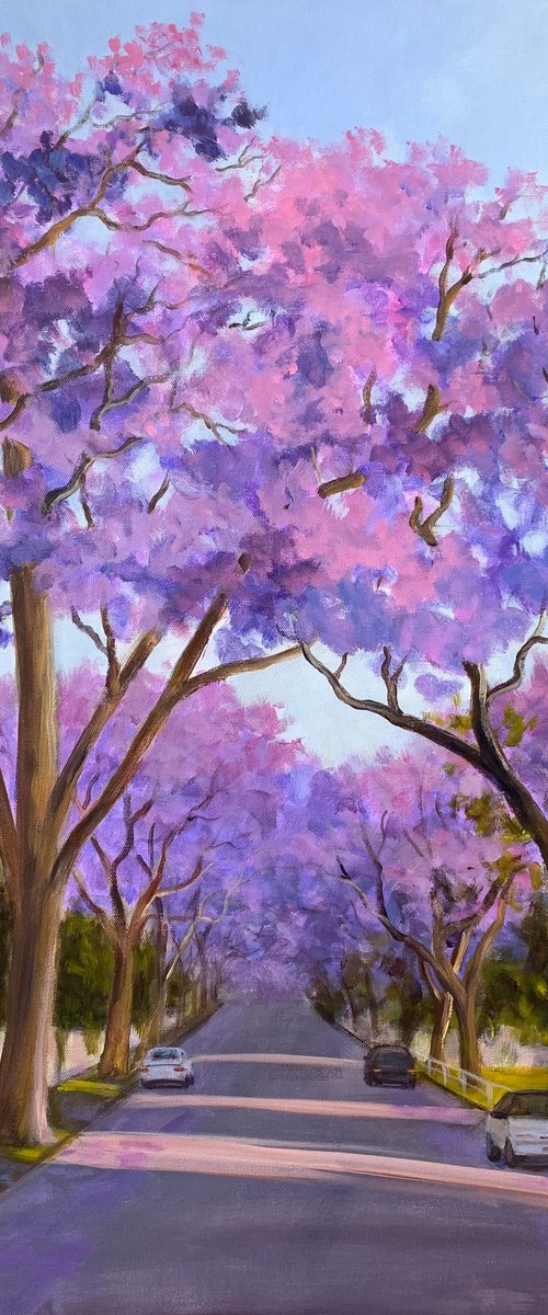 McDougall Street in Jacaranda by Shelly Du