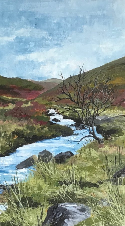 Wild Dartmoor by Valerie Jobes