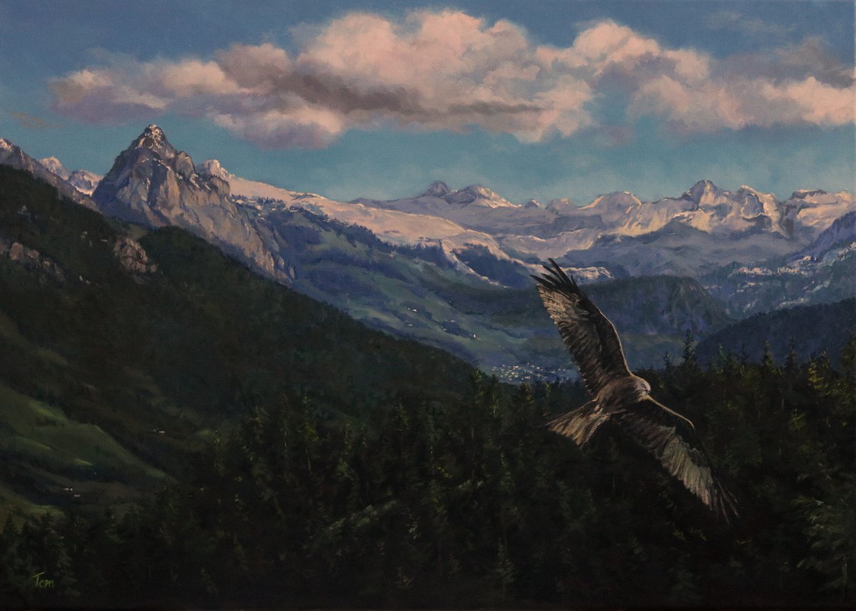 Above the Meggerwald by Tom Clay