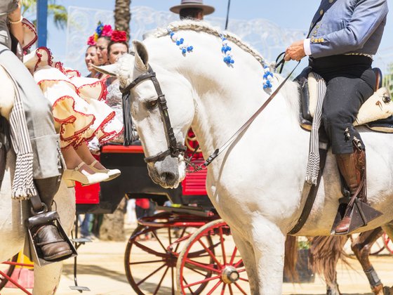 Jerez Horse festival 1.