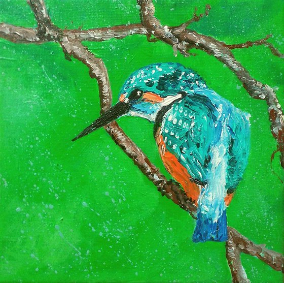"Kingfisher "