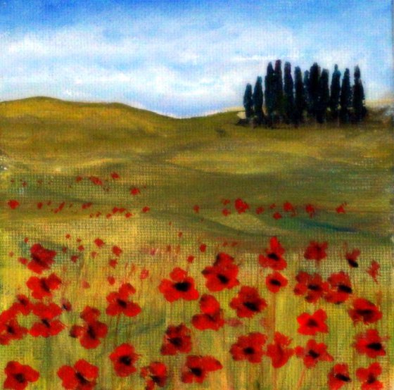 Poppies in Tuscany