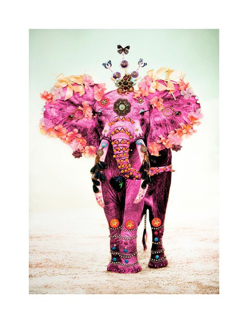 Pink Elephant (large edition size) by B-Brown & Scheinmann