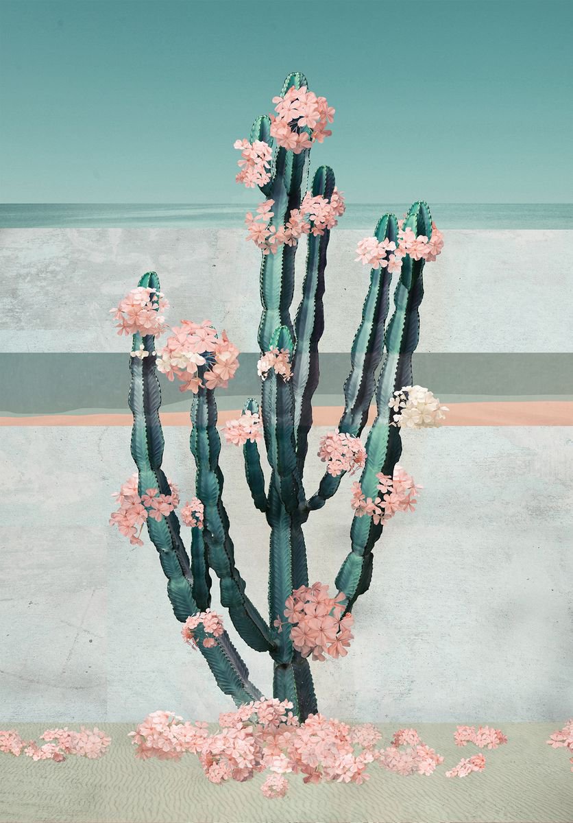 Surrealistic Botanical Photograph By Nadia Attura, 20 X 28", Cactus Dream, Original Artwork