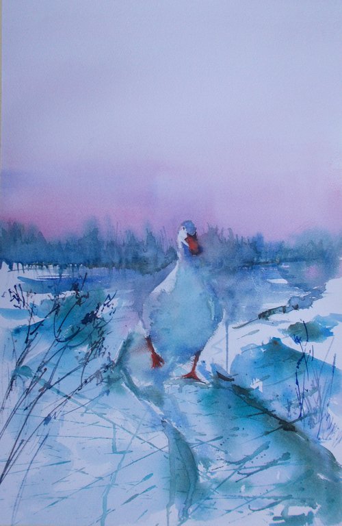 goose by Giorgio Gosti