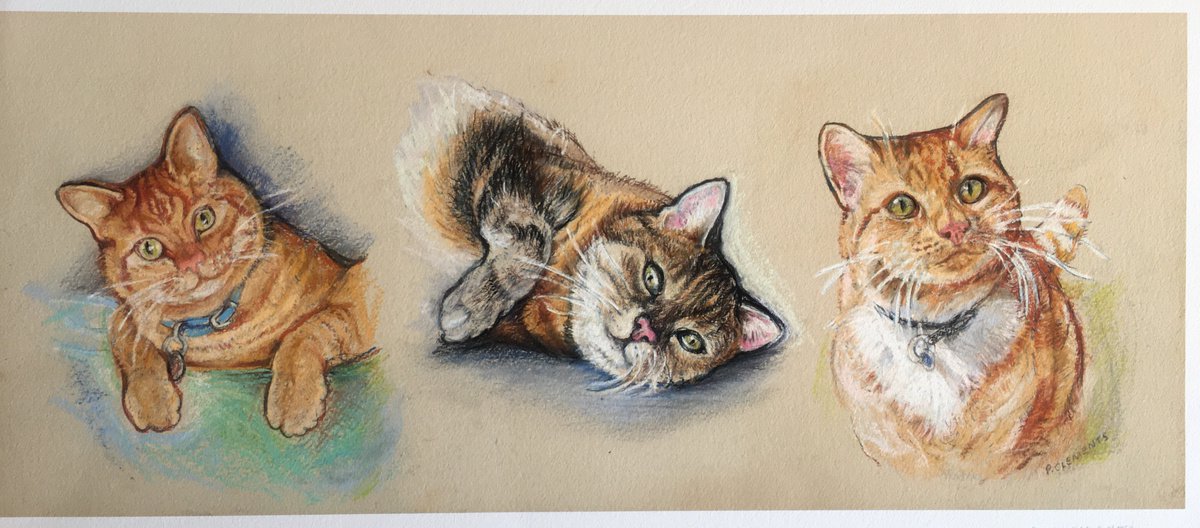 Three cats by Patricia Clements