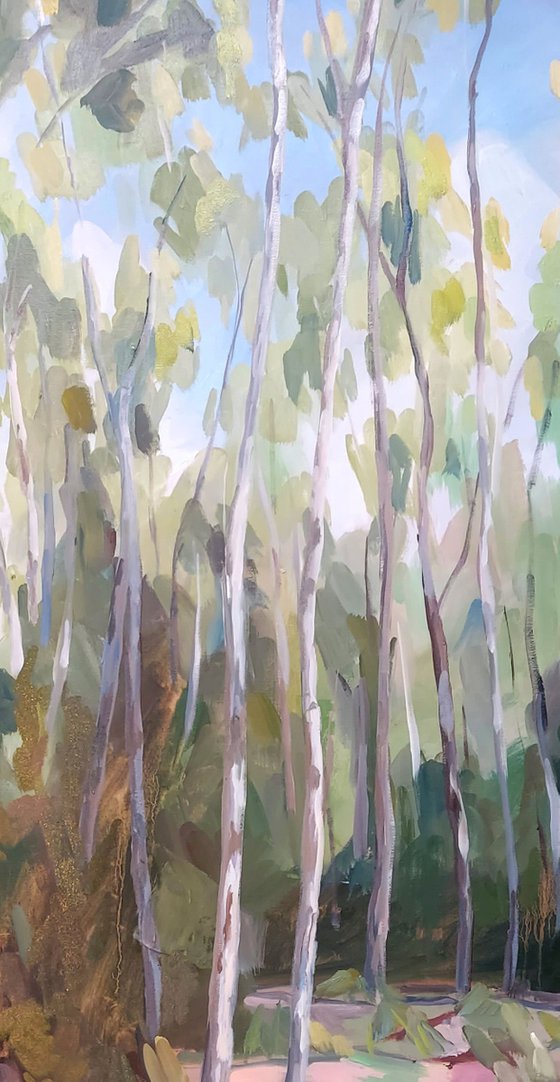 Summer silver birches