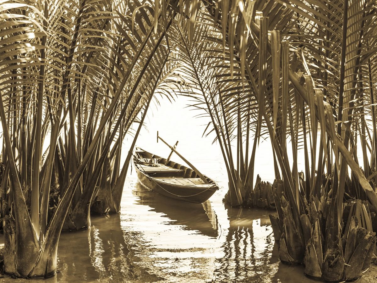 BOAT AMONGST PALMS by Andrew Lever