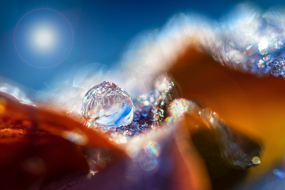 IGLOO ON THE EDGE OF THE FALLEN LEAF by Inna Etuvgi