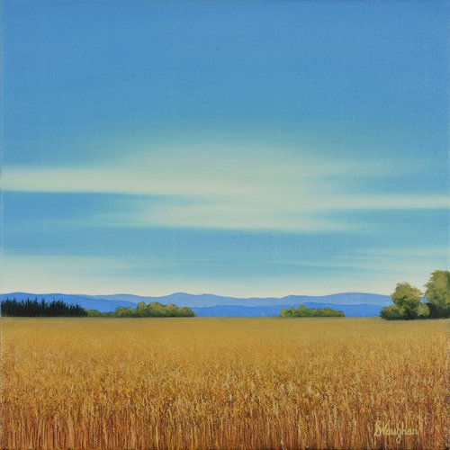 Summer Wheat Field - Blue Sky Landscape by Suzanne Vaughan