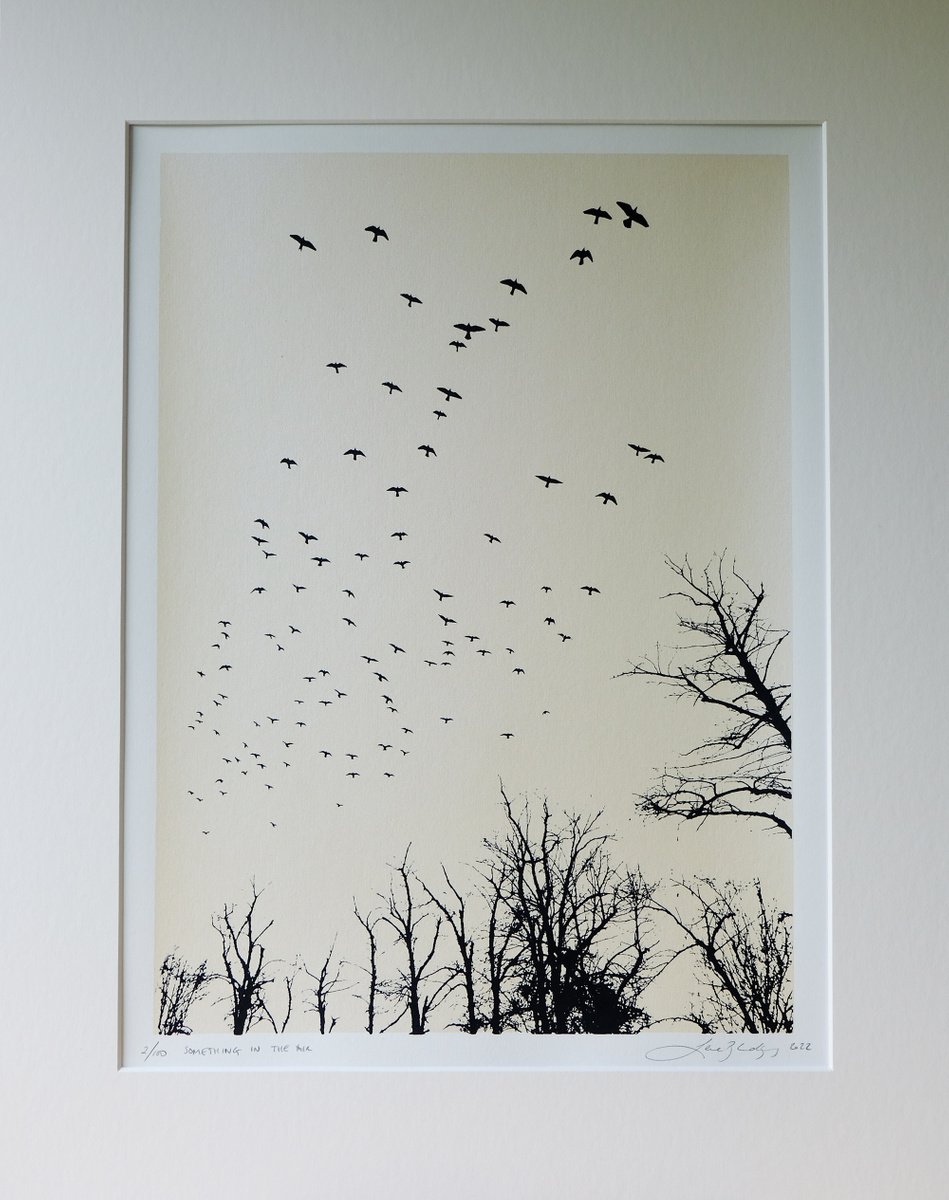 Screenprint , Something In The Air By Lene Bladbjerg, 16 X 20, Artwork For Sale On Artfinder