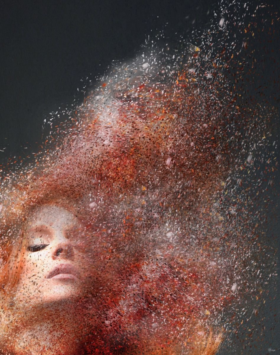 Illustrative Portrait Photograph By Bojan Jevtic, 31 X 39, Don