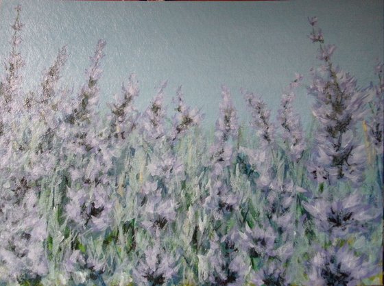 Close - up Lavender Flowers