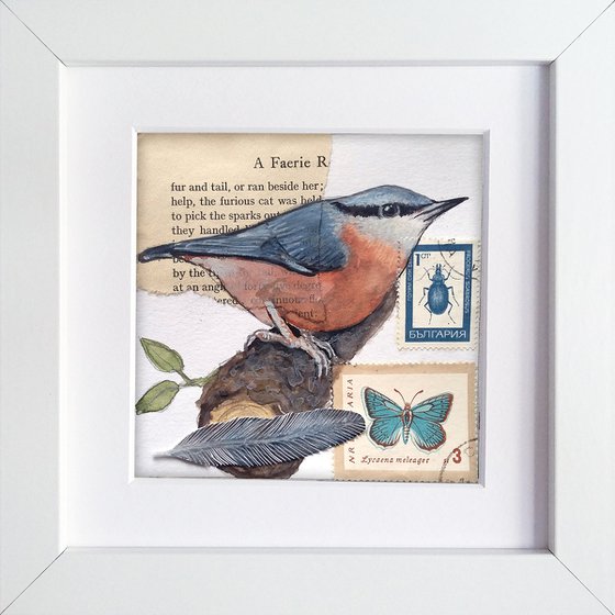 The Nuthatch feather  (framed and ready to hang)