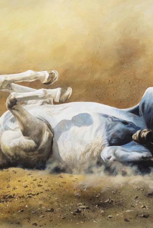 Wild horse dusting by Julian Wheat