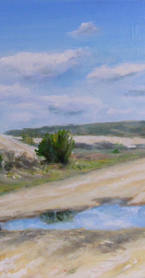 "After a summer rain" by Ivan  Grozdanovski